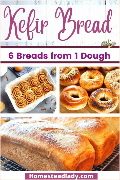 Kefir Fermented Bread Dough - No Yeast! • Homestead Lady Kefir Bread Recipes, Fermented Dough, Milk Kefir Recipes, Kefir Yogurt, Fermented Bread, Easy Sourdough Bread Recipe, Yeast Free Breads, Sourdough Bread Starter, Bread Dough Recipe