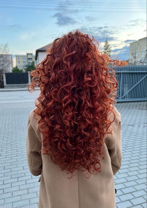 Dark Orange Curly Hair, Short Wavy Ginger Hair, Red Curly Hair Natural, Long Curly Ginger Hair, Copper Red Curly Hair, Curly Long Haircut, Layered Red Hair, Ginger Hair Curly, Messy Red Hair