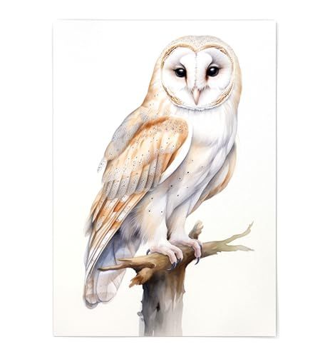 Barn Owl Print - Owl Wall Decor - Owl Print Poster Unframed - Watercolor Owl Print - Cute Owl Portrait - Owl Artwork Illustration (5x7) Owl Artwork Illustrations, Art With Watercolor, Owl Portrait, Bald Eagle Art, Eastern Screech Owl, Spotted Owl, Owl Wall Decor, Owl Artwork, Animals Watercolor