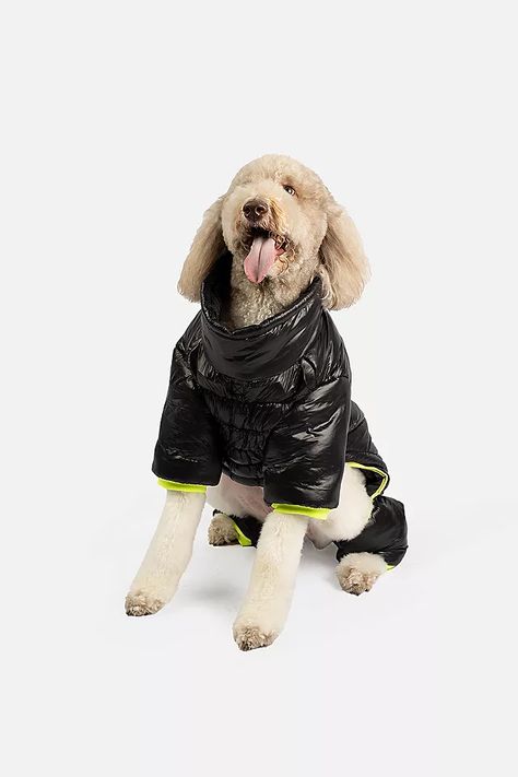 Silver Paw Whistler Full Body Dog Snowsuit | Free People Dog Snowsuit, Cold Weather Dogs, Biking With Dog, Dog Winter Coat, Colour Ways, Bag Dispenser, Pet Wellness, Dog Bath, Problem Solved