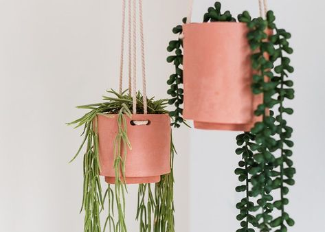 You searched for air dry clay | Fall For DIY Clay Hanging, Plants Hanging, Terracotta Clay, Hanging Planters, Green Plants, Plants, Wall, Green, Pink