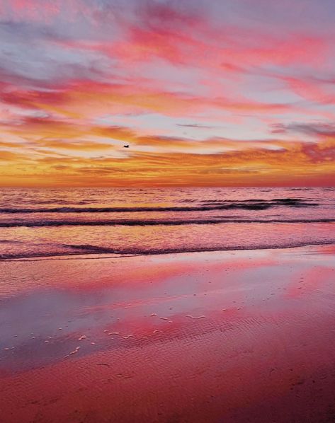 Relaxing Photos, Vsco Beach, Beach Sunset Wallpaper, Beautiful Beach Pictures, Sunset Rose, Pink Ocean, Pretty Skies, Orange Aesthetic, Orange Wallpaper