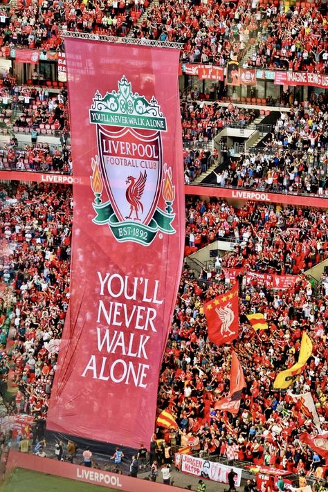 Anfield Aesthetic, Lfc Aesthetic, Liverpool Football Team, Angelina Johnson, Lfc Wallpaper, Liverpool Fc Team, Liverpool You'll Never Walk Alone, Liverpool Football Club Wallpapers, Soccer Men