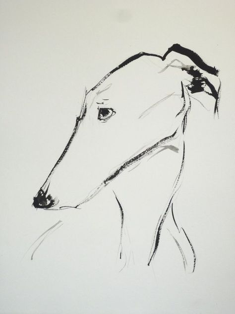 Spanish Greyhound, Whippet Art, Greyhound Art, Animal Illustration Art, Arte Van Gogh, Dog Artwork, Arte Inspo, Animal Sketches, Ink On Paper