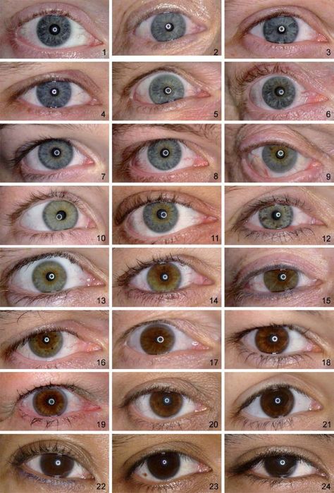 Different Eye Shapes Charts, Different Eyes Shapes, Different Shapes Of Eyes, Eye Color Reference, Types Of Eye Colors, Types Of Eyes Shapes, Eyes Type, Different Eye Colors, Different Eye Shapes