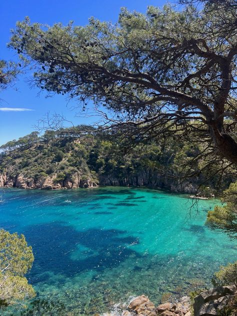 Begur in Spain. Incredible coast.


#beach#sun#Spain#coast#Begur Spain Coast, 2024 Manifesting, Spanish Coast, Places Photography, Travel Stuff, Spain Travel, School Year, West Coast, Places To Go