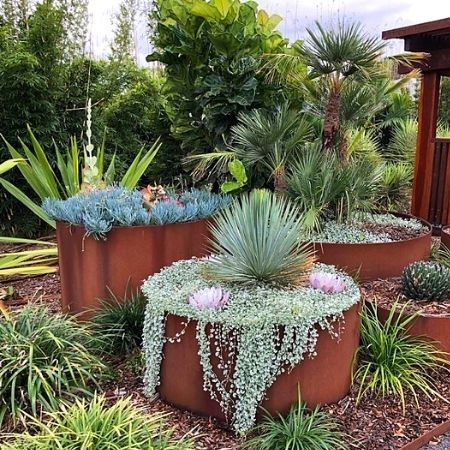 Container Water Gardens, Australian Native Garden, Landscaping Simple, Australian Garden, House Landscaping, Steel Planters, Front House, Water Gardens, Rock Garden Landscaping