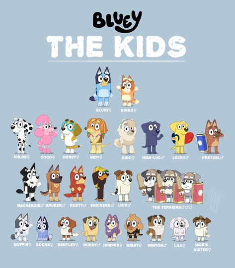 bluey children character sheet by flutteryoshi952 on DeviantArt Bluey Characters, Bingo Funny, Circus Characters, 2nd Birthday Party Themes, Drawing Style, The Cartoon, Kid Character, Character Sheet, Kids Shows