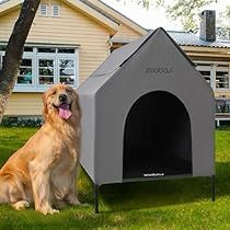 Pvc Dog House, Large Dog House Outdoor, Dog House Outdoor, Raised Dog Beds, Pvc Canopy, Large Dog House, Outdoor Dog House, Elevated Dog Bed, House Outdoor