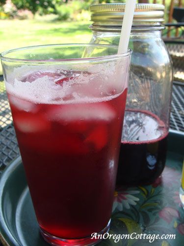 Black Current Juice concentrate Canned Pickled Beets, Black Currant Juice, Red Juice Recipe, Currant Recipes, Italian Sodas, British Cooking, Canned Juice, Drink Syrups, Canning Jam