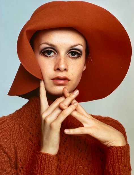 Twiggy model