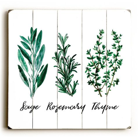 Target Wall Decor, Watercolor Herbs, Tree Graphic, Print On Wood, Framed Wall Art Sets, Outdoor Wall Decor, Wood Wall Decor, Art Print Set, Gracie Oaks