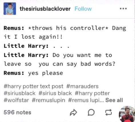 Marauders Memes Funny, Wolfstar Raising Harry, Harry Potter Texts, Slytherin Skittles, Harry Potter Parody, Harry Potter Painting, Funny Harry Potter Jokes, Gay Harry Potter, Harry Potter Comics