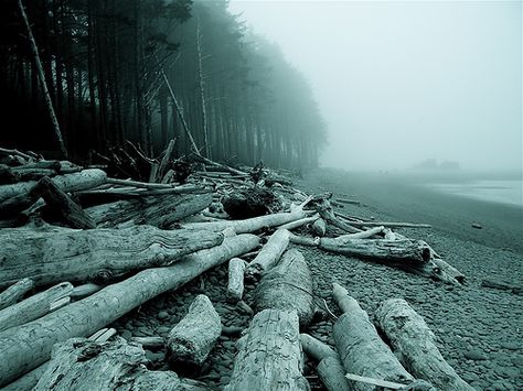 Driftwood, Beach, Oregon, Pacific Northwest by wanderer_by_trade, via Flickr Shadow People, Dark Creatures, Driftwood Beach, Monte Cristo, Scenic Photography, American Gothic, Shadow Pictures, Gothic Aesthetic, Travel Outdoors