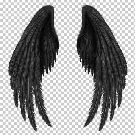 Maleficent Wings, Dark Angel Wings, Angel Wings Png, Wings Png, Demon Wings, Black Angel Wings, Angel Wings Tattoo, Dark Wings, Cute Backgrounds For Phones