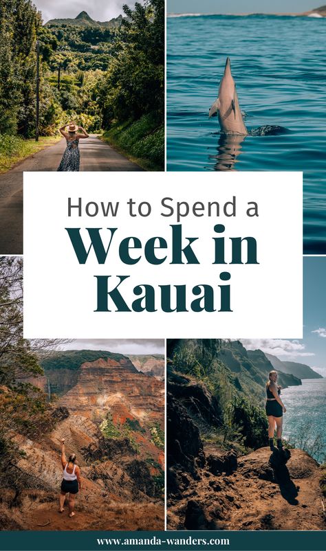 Kauai Hawaii Hikes, Best Hikes In Kauai, Kauai Itinerary 1 Week, Kauai Bucket List, Best Things To Do In Kauai, Kauai Travel Guide, Kauai In March, Best Beaches In Kauai, Kuaui Hawaii Things To Do