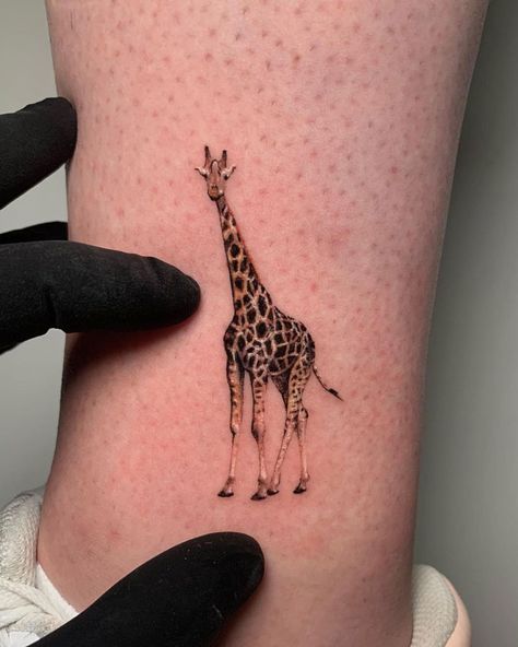 11:11 Tattoo Ideas, Small Giraffe Tattoo, Giraffe Tattoo, Small Animal Tattoos, Animal Tattoos For Women, Cute Animal Tattoos, Animal Tattoo Ideas, Tattoo Background, Shoulder Tattoos For Women