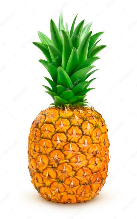 Fruit Design Ideas, Picture Of Pineapple, Fruits Pictures, Pineapple Pictures, Fruit Images, Pineapple Photo, Fruit Pictures, Pine Apple, Fruit Pineapple