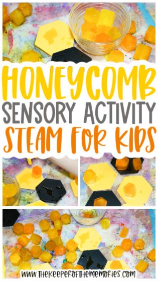 Bumblebee Activities For Preschool, Bee Activities For Preschool, Bees Preschool, Nature Provocations, Sensory Activities For Preschoolers, Steam Activity, Bee Activities, Stem Ideas, Preschool Science Activities