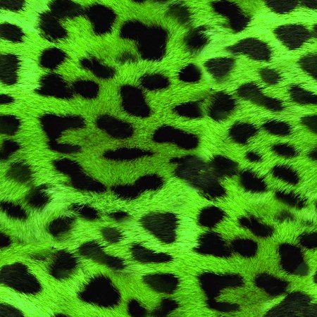 Neon Green Leopard Print Background Jungle Prints, Wallpapers Abstract, Orange Leopard Print, Pretty Background, Leopard Print Background, Leopard Print Wallpaper, Hot Pink Background, Animal Print Background, Twitter Backgrounds