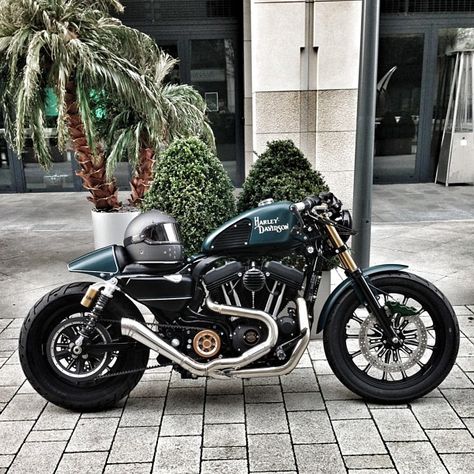 Sportster Harley Davidson. Custom-Usually not a huge Harley fan, but this bike is brilliantly awesome! Hd 883 Iron, Motocykle Harley Davidson, Harley Davidson Shirts, Harley-davidson Sportster, Bmw 1000rr, Sportster Cafe Racer, Xe Ducati, Мотоциклы Harley Davidson, Cafe Racer Moto