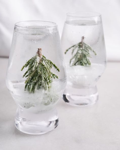 Rosemary springs frozen in cocktail glasses. Rosemary Christmas Tree, Frozen Christmas Tree, Holiday Party Menu, Rosemary Cocktail, Cocktail Party Decor, Christmas Cocktail Party, Flavored Sparkling Water, Frozen Christmas, Cranberry Cocktail