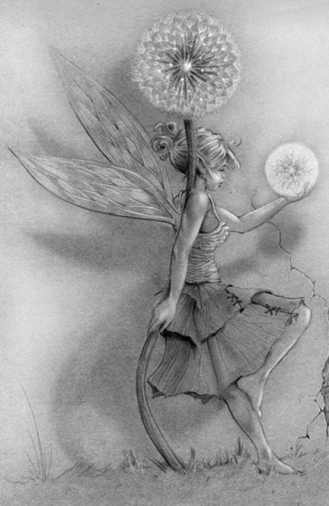 Tattoos Fairy, Tatoo Dog, Fairy Sketch, Dandelion Tattoo, Fairy Tattoo Designs, Fairy Drawings, Beautiful Fairy, Fairy Artwork, Fantasy Drawings