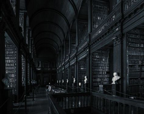 Dark College Aesthetic, Hogwarts Library Aesthetic, Gothic Library Aesthetic, Durmstrang Aesthetic, Dark Library Aesthetic, Dark Library, Library Dark, Black Library, Dark Castle