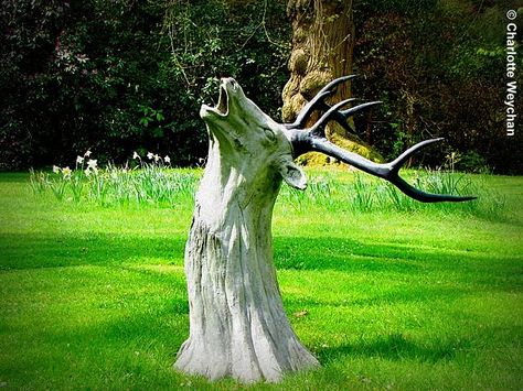 Living the Craft Life: 10 ways to decorate (hide) a tree stump in your yard Tree Stump Decor, Stump Ideas, Tree Stump Planter, Balkon Decor, Tree Carving, Old Tree, Old Trees, Tree Trunks, Tree Sculpture