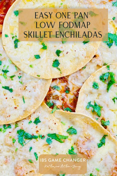 15 Minutes prep • 30 Minutes cook • Low FODMAP • Gluten-free • Serves 6 • Made all in one pan, these skillet enchiladas are a wonderful blend of smoky flavor and creamy sauce.   #ibsgamechanger #lowfodmapdiet #fodmap #lowfodmap #fodmapfriendly #glutenfree #glutenfreerecipes #glutenfreelife #onepan #smokensanity Skillet Enchiladas, Lemon Dill Chicken, Fodmap Recipes Dinner, Low Fodmap Recipes Dinner, Veggie Skillet, Turkey Enchiladas, Lactose Free Recipes, Root Veggies, Veggie Bowl