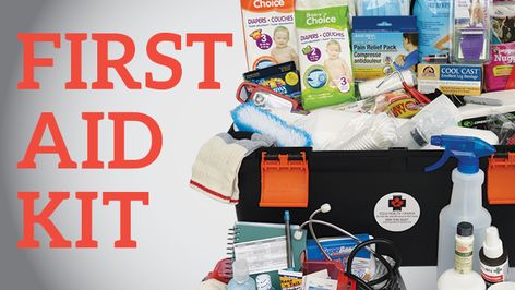 First Aid Kit List, First Aid Kit Essentials, Equine First Aid, Horse Grooming Supplies, Canadian Horse, Hot Cold Packs, Horse Training Tips, Wound Dressing, Horse Grooming