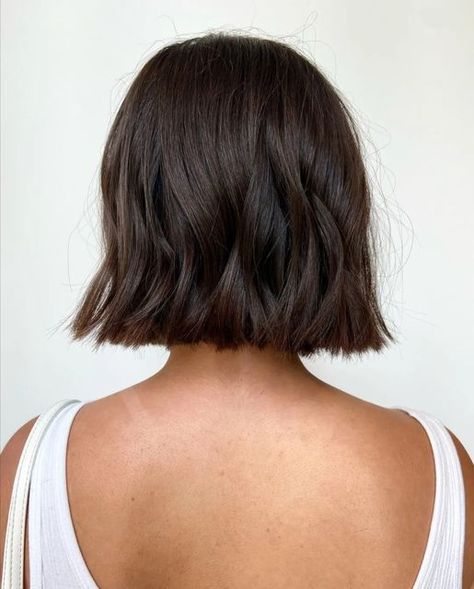 Same Length Bob, Bluntcut Bob Brown, Dark Chocolate Short Hair, Short Natural Brown Hair, Chunky Bob Haircut Choppy Layers, Short Brown Bob Hairstyles, Brown Short Bob Haircut, Dimensional Brunette Bob, Medium Length Haircut Brown