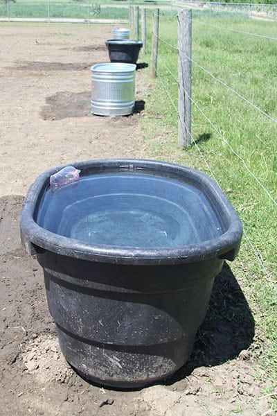 Goldfish More Hassle Than Help in Horse Water Troughs? – The Horse Horse Water Trough, Cattle Trough, Common Goldfish, Horse Trough, Montana House, Ranch Living, College Usa, Ranches Living, Water Tub