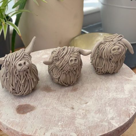 Lizzie Rich | Made these three little #coos with some leftover clay.. trying new things with their coats! Hope you like them ❤️ #wonkypottery... | Instagram Pinch Pottery Animals, Animal Clay Projects, Ceramic Art Animals, Ceramic Highland Cow, Hand Built Clay Projects, Animal Ceramics Ideas, Air Dry Clay Cow, Pottery Animals Handbuilt, Pottery Ideas For Kids