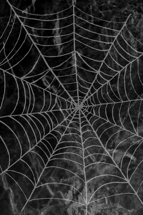 Halloween Themed Wallpaper, Spider Web Drawing, Spiderman Noir, Nightmare Before Christmas Wallpaper, Image Halloween, Halloween Wallpaper Cute, Goth Wallpaper, Spider Art, Halloween Wallpaper Iphone