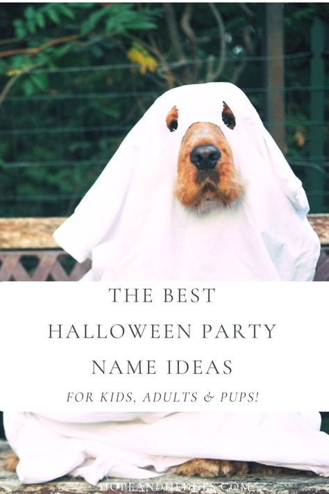 Ready to host an epic Halloween party this year? These are some of the BEST Halloween party name ideas for all of your Halloween party themes. From a Halloween party for kids, to a Halloween party for dogs (who wouldn't love a Boos and Barks Bash?!), we have the most creative list of Halloween party names. Halloween Party Names, Party For Dogs, Epic Halloween Party, Haunted House For Kids, Halloween Party For Kids, Halloween Toddler Party, Best Halloween Party, Sibling Halloween Costumes, Newborn Halloween Costumes