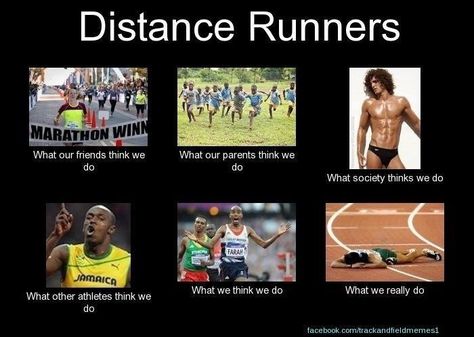 Distance Runners Distance Running Quotes, Cross Country Memes, Running Puns, Cross Country Quotes, Running Quotes Funny, Xc Running, Running Pictures, Track Quotes, I Love To Run