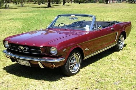 1964 Mustang, Burgundy Car, Mustang Vintage, 1965 Mustang, Old Vintage Cars, Classic Mustang, Mustang Convertible, Custom Muscle Cars, Concept Car Design