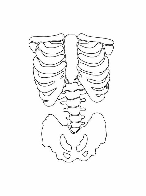 Spine Drawing, Paint Template, Bone Drawing, Tshirt Prints, Cool Easy Drawings, Patch Ideas, Skeleton Drawings, Animal Drawings Sketches, Body Sketches