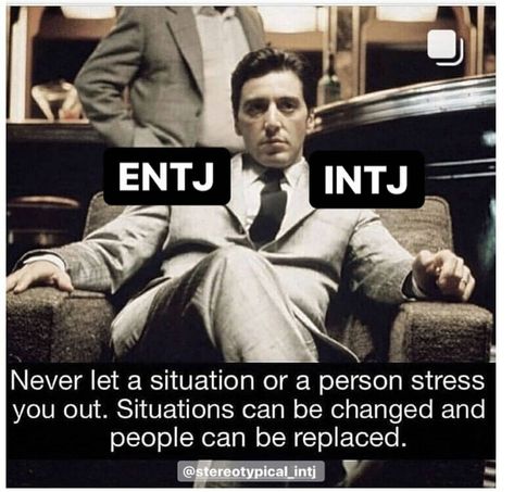 Entj Quotes, Intj Characters, Intj Humor, Intj Enfp, Entj Personality, Intj Women, Intj Entj, Mbti Intj, Intj And Infj