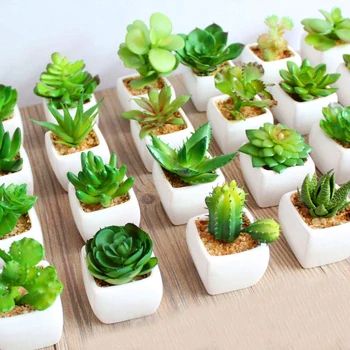 Kaktus Dan Sukulen, Wedding Plants, Lotus Plant, Artificial Plants Indoor, Fake Succulents, Succulents Plants, Artificial Plants Outdoor, Decorated Flower Pots, Artificial Succulents