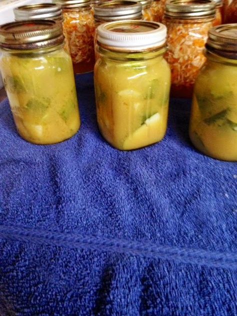 Freezer Slaw, Mustard Pickle Recipe, Quick Pickle Recipe, Homemade Horseradish, Homemade Mustard, Dill Pickle Recipe, Canning 101, Canning Pickles, Pickles Recipe