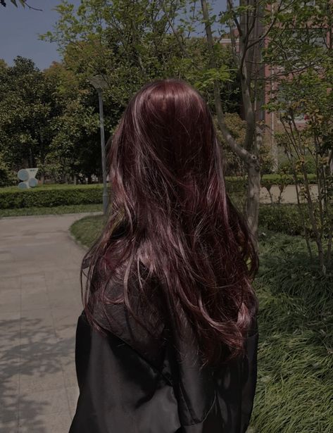 long straight wavy beautiful dark red shiny hair aesthetic glossy chinese japanese korean trendy 2022 xiaohongshu 小红书 core anime manga manhwa Dark Cherry Red Hair Asian, Wine Colored Hair Burgundy Dark, Tinted Red Hair Dark Brown, Aesthetic Dark Red Hair, Hair Tint For Dark Hair, Dark Red Hair Korean, Dark Red Hair Straight, Dark Hair Dyed Red, Red Brown Hair Aesthetic