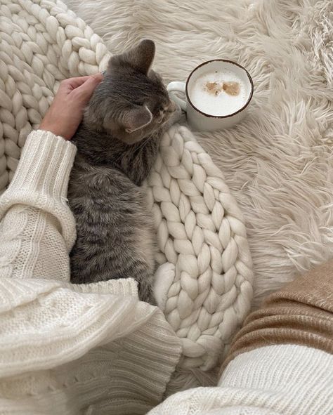 Winter Cat Aesthetic, Fall Cats Aesthetic, Cosy Cat Aesthetic, Dwell In Possibility, Cats In Winter Aesthetic, Cats In Fall Aesthetic, Cats In Autumn Aesthetic, Cosy Aesthetic, Money Cat