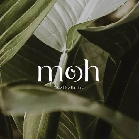 Moss Logo Design, Eden Logo, Skincare Logo Design, Logo Inspiration Vintage, Design Company Names, Organic Branding, Logo Design Inspiration Vintage, Organic Logo Design, Skincare Logo