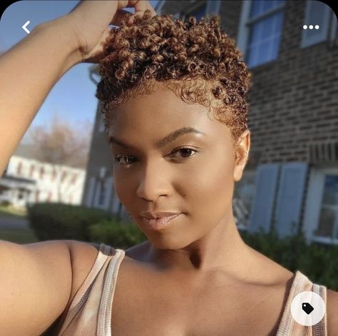 Blond Tapered Natural Hair, Colored Tapered Natural Hair, Short Natural Colored Hair, Twa With Highlights, Ginger Tapered Natural Hair, Short Brown Natural Hair, Big Chop Natural Hair Color, Short Natural Hair With Color, Rose Gold Natural Hair