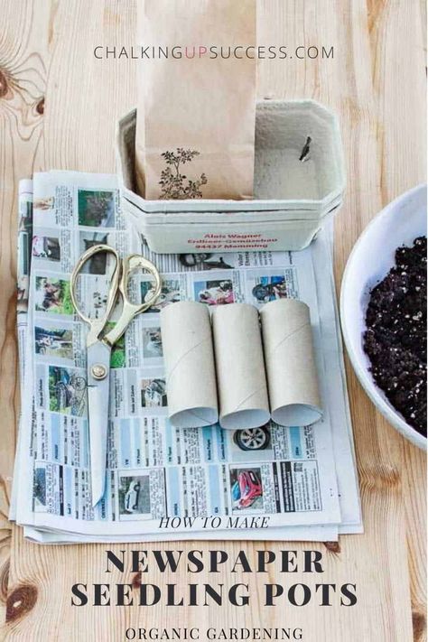 Seedling Pots Diy, Start Seeds Indoors, Ice Candle, Flower Borders, Recycling Projects, Seedling Pots, Seed Pots, Paper Pot, Pots Diy