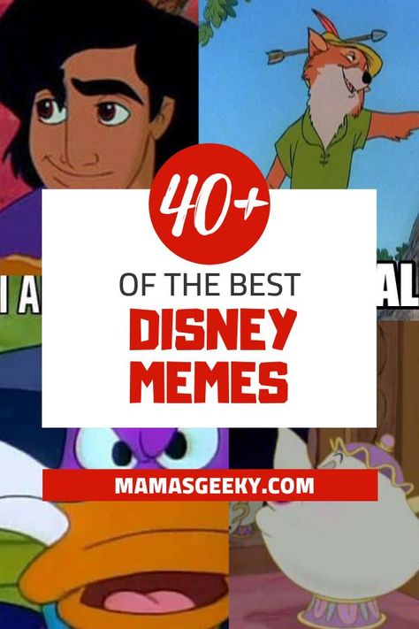 40+ Of The Funniest Disney Memes #Disney #DisneyMemes #FunnyMemes #FunnyDisneymemes #FunnyDisney Disney Humor Funny Hilarious, Clean Disney Jokes, Funny Disney Characters, Disney Humor, Disney Annual Passholder, Disney Time, Vacation Humor, Funny Disney Memes, Love Disney