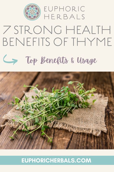 Thyme is a familiar enough herb in the kitchen but often overlooked when it comes to modern herbalism. However, there are powerful health benefits hidden in the tiny leaves of thyme, which has been used medicinally for thousands of years. Here's more about the powerful benefits of thyme and how to use this "common" herb for health. Thyme Herb Benefits, Thyme Medicinal Recipes, Thyme Benefits Health, How To Make Thyme Oil, Thyme Tea Benefits, Thyme Water, Thyme Bath, Benefits Of Thyme, Health Benefits Of Thyme