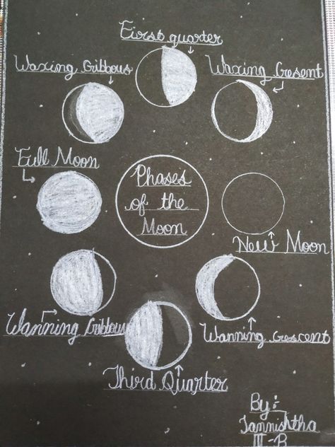 Evs activity on phrases of moon. Moon Phases Sketch, Phrases Of The Moon, The Moon Sketch, Moon Phrases, Moon Sketch, Star Book, Arts And Crafts Projects, Moon Phases, The Moon